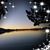 Lisa Donnelly's profile image
