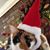 Glenda Hightower's profile image