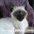 Becky Brown's profile image
