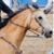 Dawn Perkins's profile image