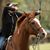 Kimberly Paquette's profile image