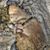 Christopher Smith's profile image