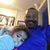 Sean R Williams's profile image