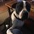 Lori Whitaker's profile image