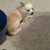 Kathy Kanter's profile image
