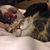 Robyn Jackson's profile image
