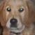 Ricky Sychta's profile image