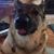 Deb Swanson's profile image