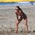 Surfcal Waves's profile image