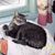 Joyce Whitaker-Lovely's profile image