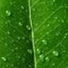 Vikram S.'s profile image