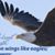 Joseph Nathan Kariuki's profile image