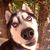 Sky Skater's profile image