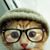 Audrey Miller's profile image