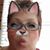 Jill Merritt Douthitt's profile image