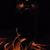 Chucc Stirtmire's profile image