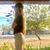 Kasey Finazzo's profile image
