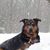 Susan M Daniels's profile image