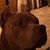 A.j. Phillips's profile image