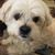 Mike Harrington's profile image