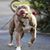 Mark Allen Schittler's profile image