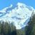 Jana G. McBride's profile image