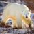 John Cornelson's profile image
