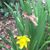 Patty Duran Kennedy's profile image