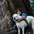 Tammie Atwell's profile image