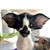 Michael Streeter's profile image