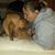 Heather Manahan Casel's profile image