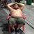 Daniel Mallory's profile image