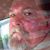 Raymond Shaw's profile image