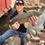 Scotty Buehler's profile image