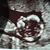 Kristen Knauss's profile image