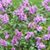 Sherry Knickerbocker's profile image