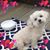 Tracey Schultz's profile image