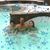 Sheryl Burghardt Reidenbach's profile image