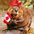 Dan Charron's profile image