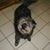 Jerry Neiss's profile image