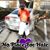 Antwan Jenrette's profile image