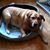 Tokay Bianchi's profile image