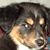 Martin Gallis's profile image