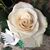 Ranae Altman's profile image