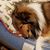 Sue Petrin's profile image