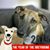 Leslie DeLange's profile image