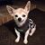 Beth Girard's profile image