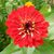 Anita Riley's profile image