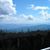 Roseann Mulcare's profile image