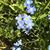 Patti Lasher Harabin's profile image